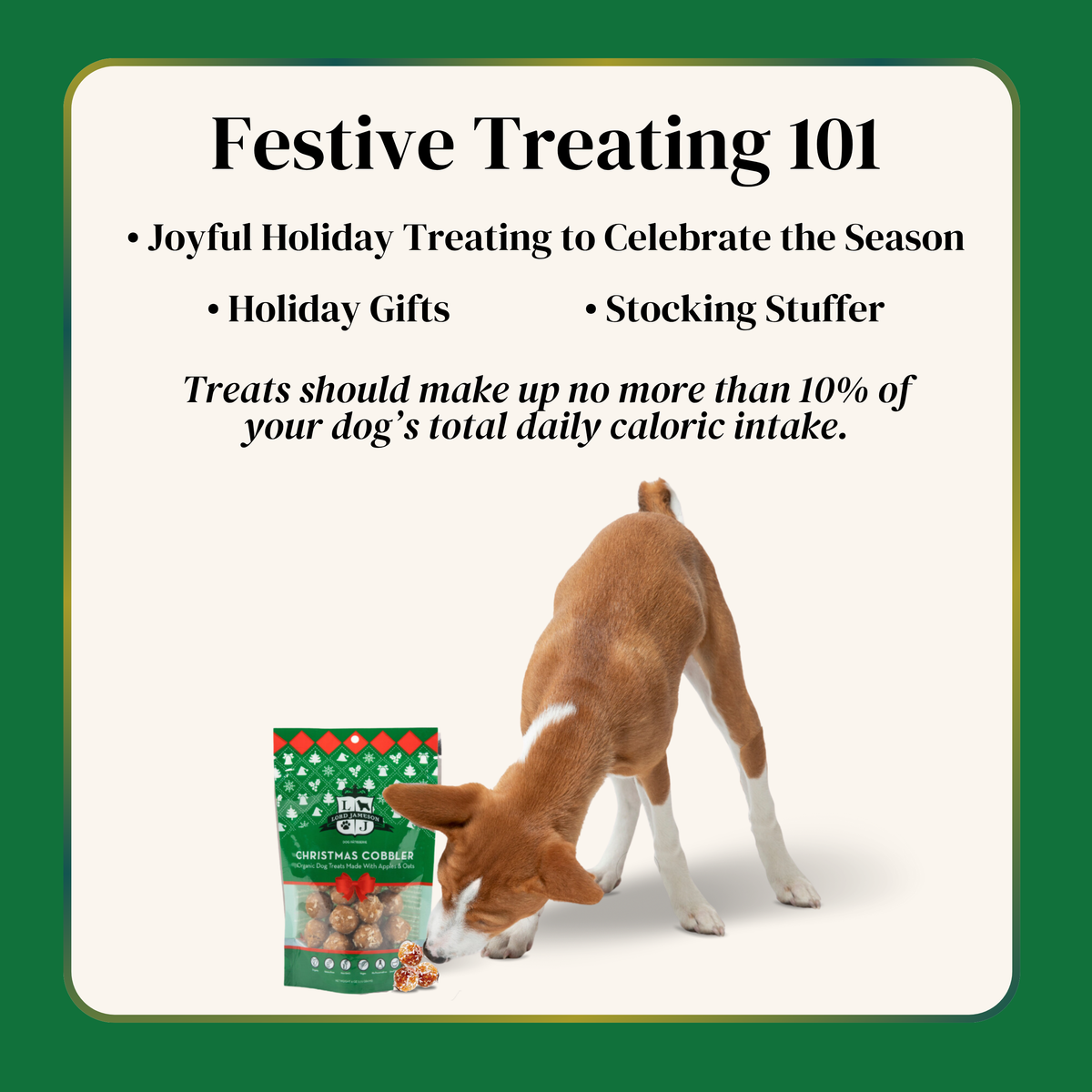 Holiday Christmas Organic Dog Treats - Lord Jameson