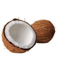 Organic Coconut