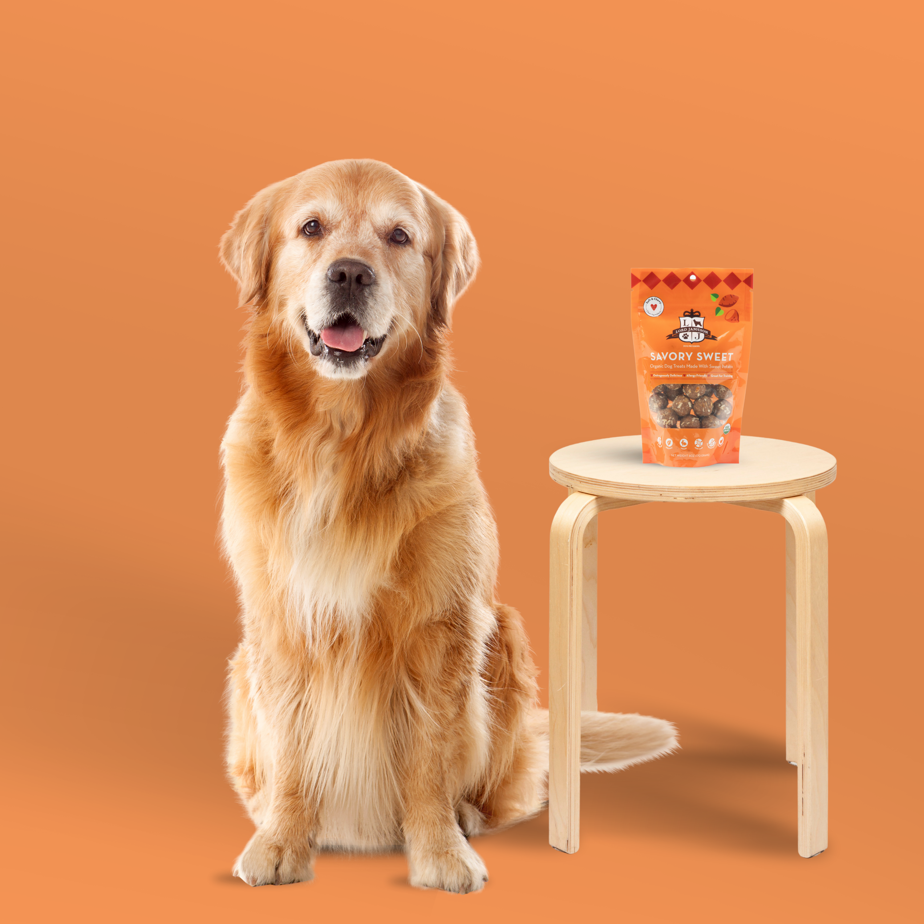 Dog Savory Sweet