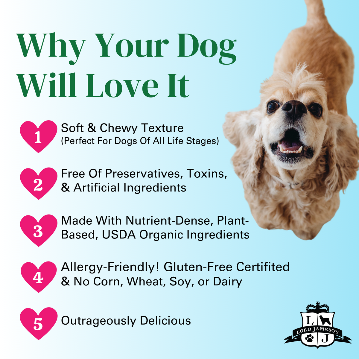 Celebration Bundle | Peanut Butter Soft & Chewy and Light & Crispy - Lord Jameson Organic Dog Treats