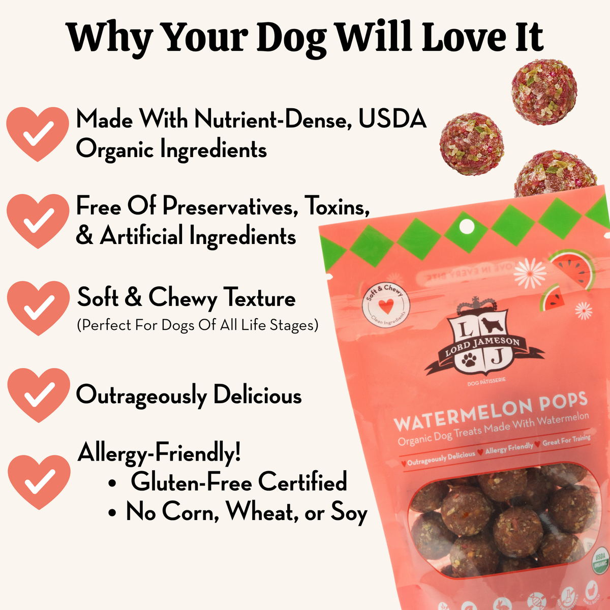 Dog treats packaging with features listed on a white background