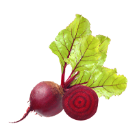 Beet