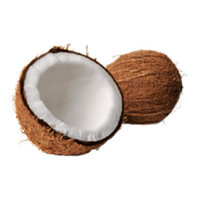 Organic Coconut