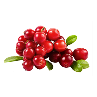 Cranberry