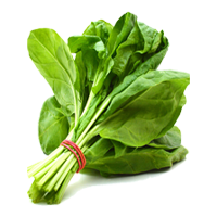 Organic Spinach