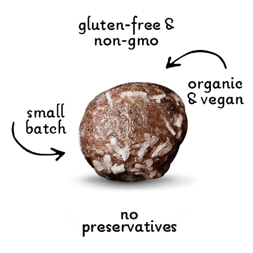 WHOLESALE Hanukkah Gelt Organic Dog Treats | Wild Blueberries + Coconut - Lord Jameson Organic Dog Treats