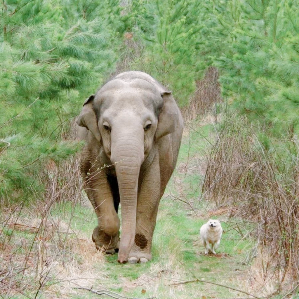 Love Comes In All Shapes & Sizes