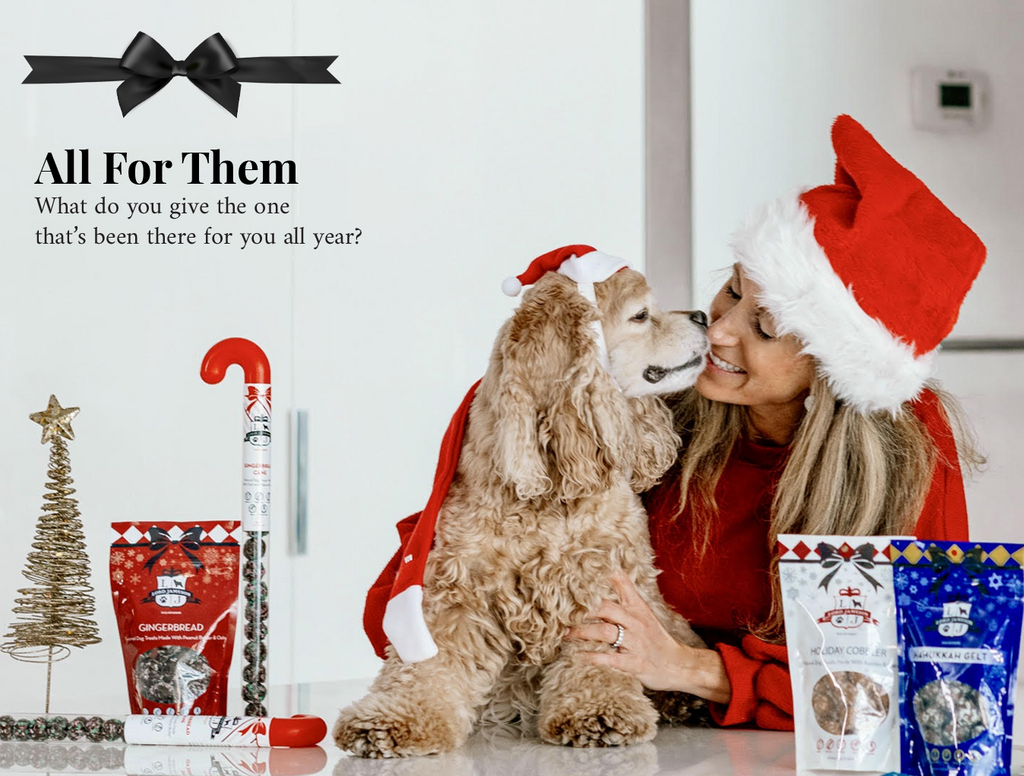 The Best Dog Christmas Gifts for 2020