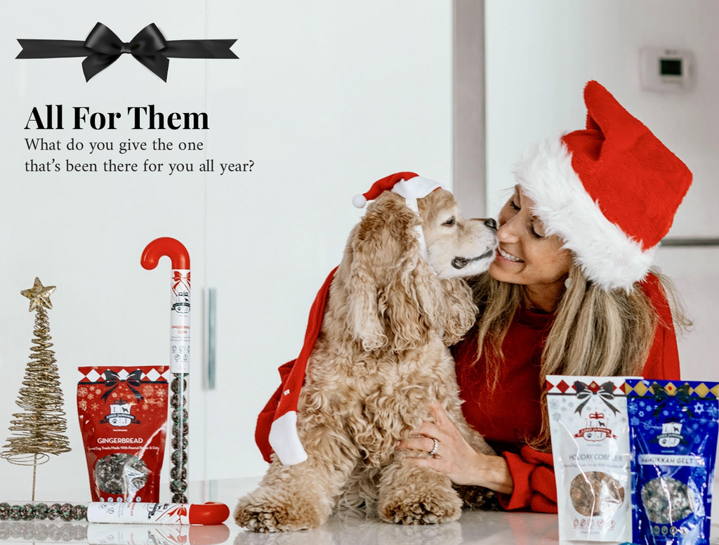 Best Christmas Gifts For Dogs | Lord Jameson’s Top 5 Holiday Product Gift List