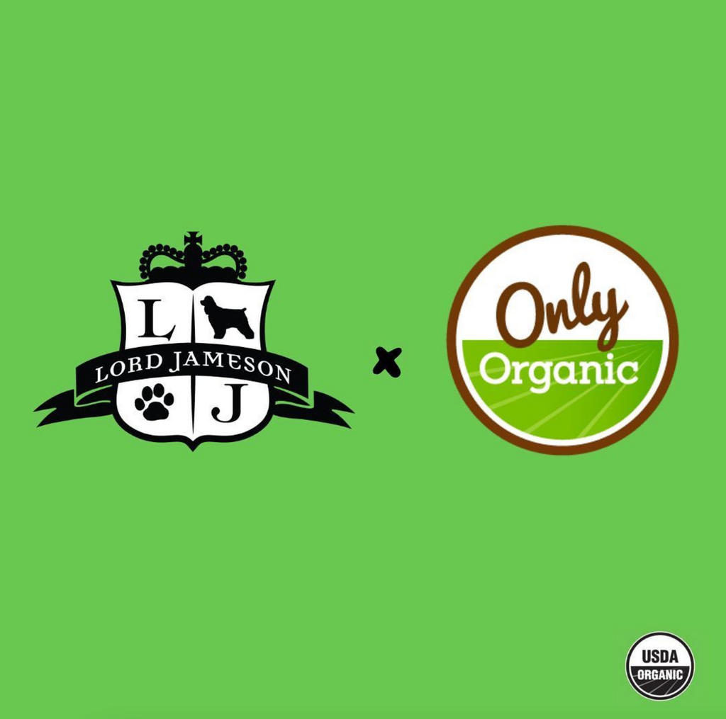 What Does It Mean To Be Organic | Interview With Only Organic | Lord Jameson