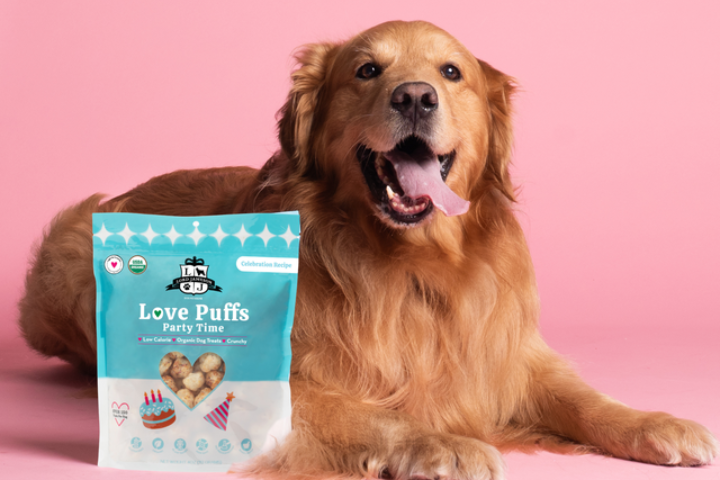 How to Teach Your Dog to Lie Down Without Treats