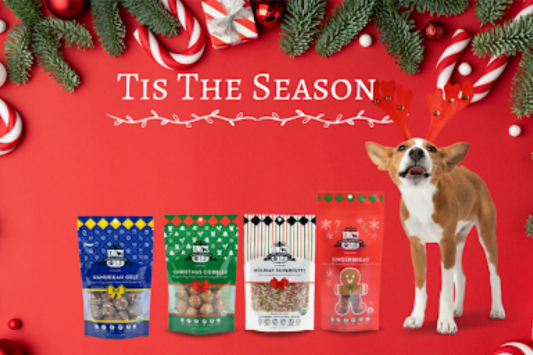 Homemade vs. Store-Bought Holiday Dog Treats