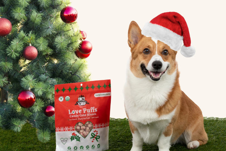 Puppy’s First Christmas: Age-Appropriate Holiday Treats