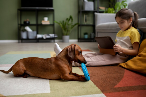 Tasty & Fun: How to Use Dog Treats in Interactive Toys and Puzzles