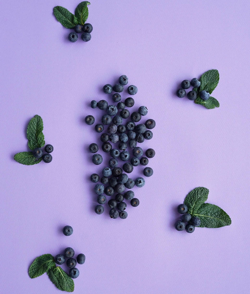 Can Dogs Eat Blueberries | Lord Jameson