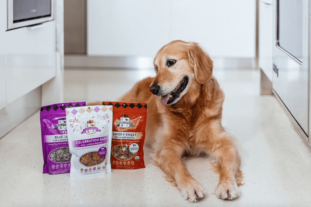 Best Healthy Dog Treats Lord Jameson