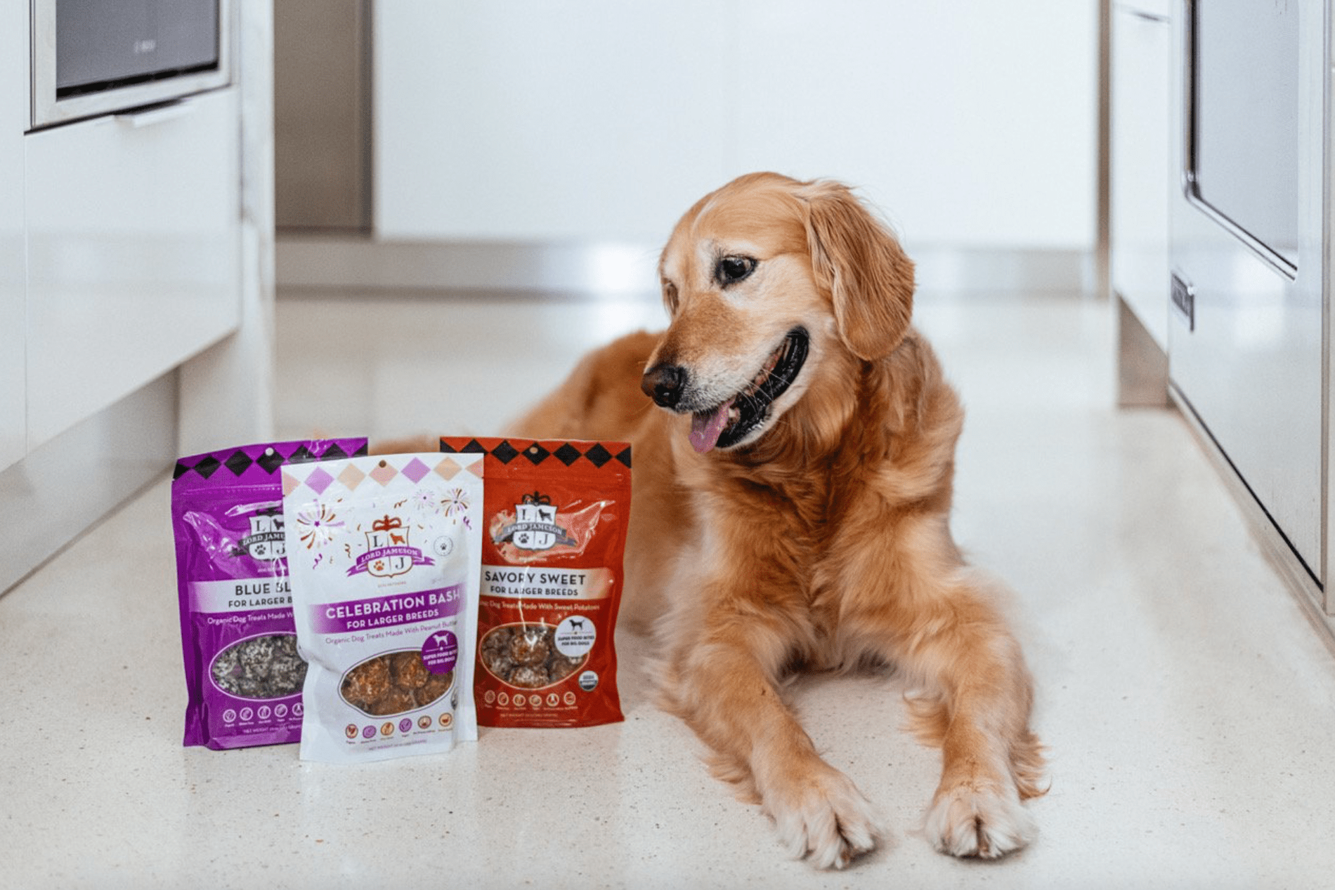 Organic healthy dog treats best sale