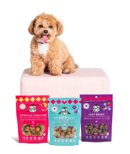 Best Treats for Teething Puppies: Safe and Soothing Options