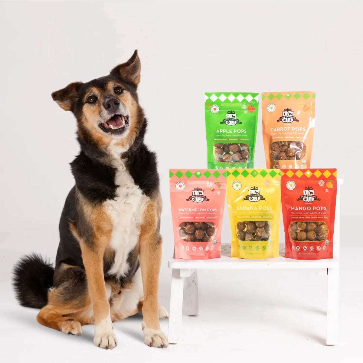 Dog enjoying a gentle and healthy treat