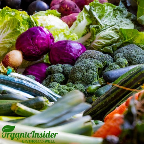 An Interview with Max Goldberg from Organic Insider