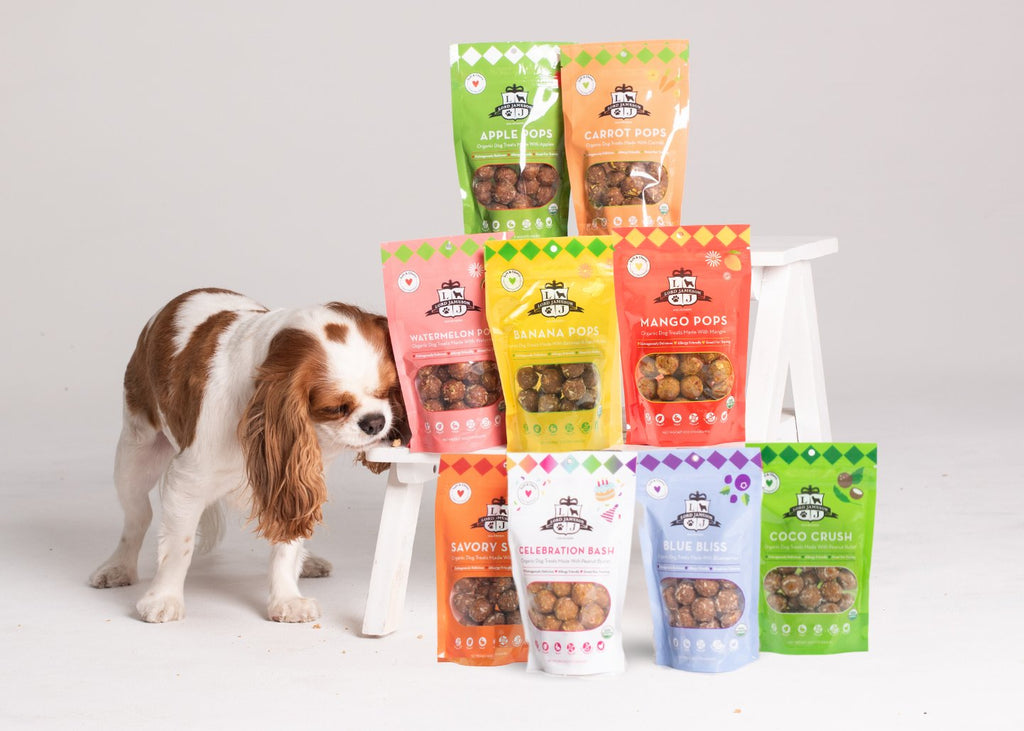 Healthy Dog Treats Collection