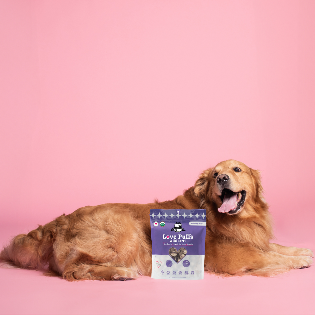 Wild Berri Organic Dog Treats - Lord Jameson Organic Dog Treats 