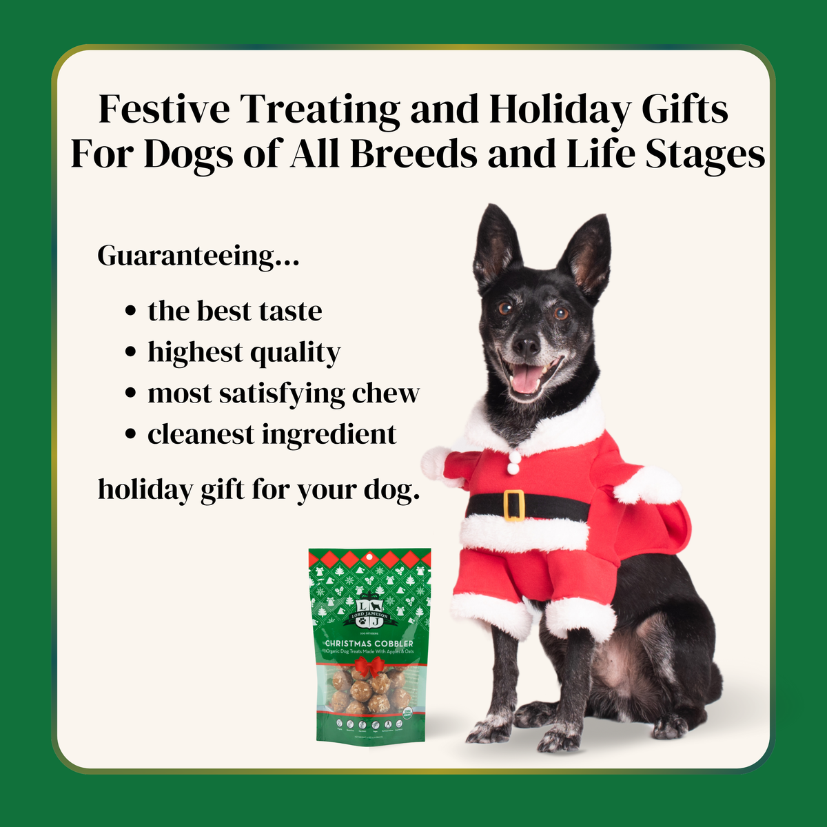 Holiday Christmas Organic Dog Treats - Lord Jameson