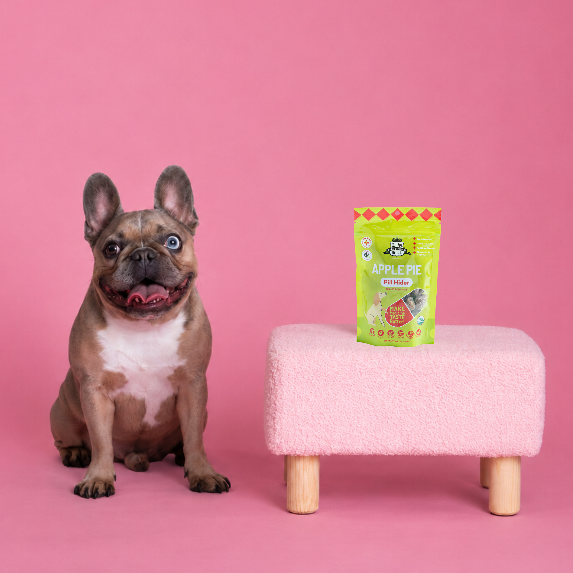 Dog sitting next to a small pink stool with a green bag on it against a pink background
