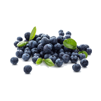 Organic Blueberry