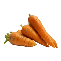 Organic Carrot
