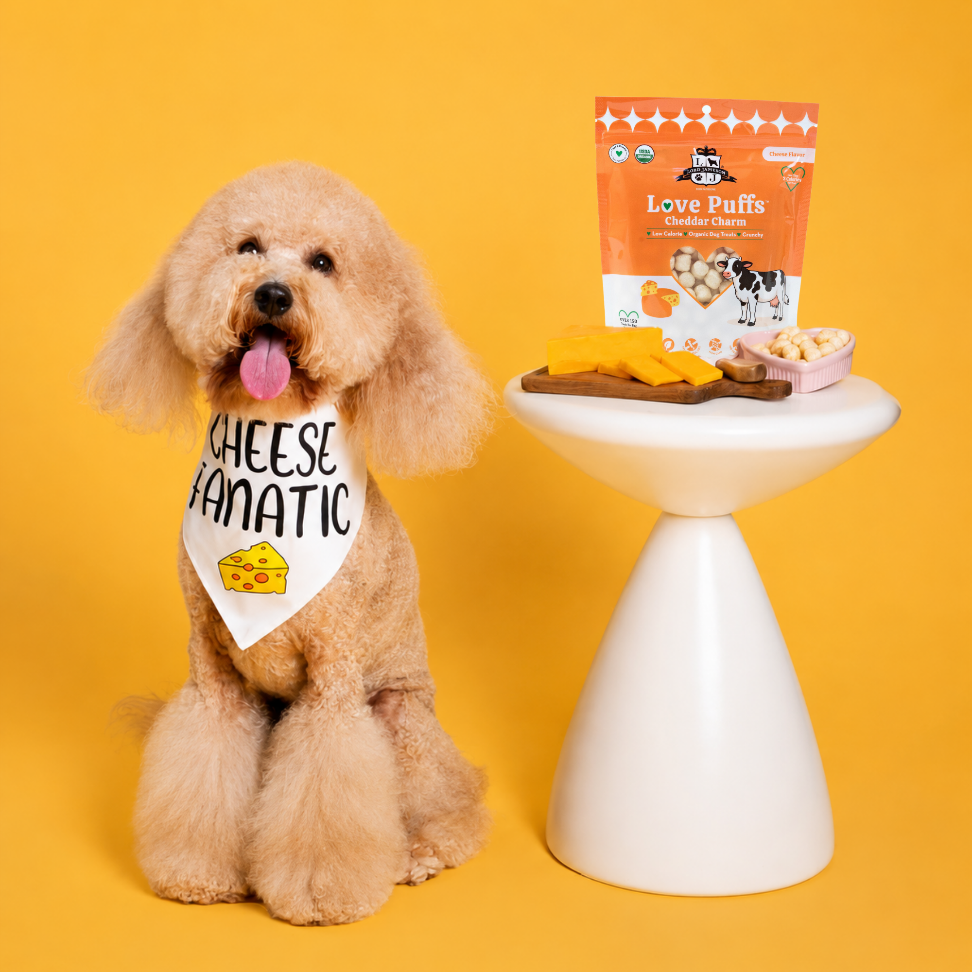 Cheddar Charm Organic Dog Treats | Healthy Chews