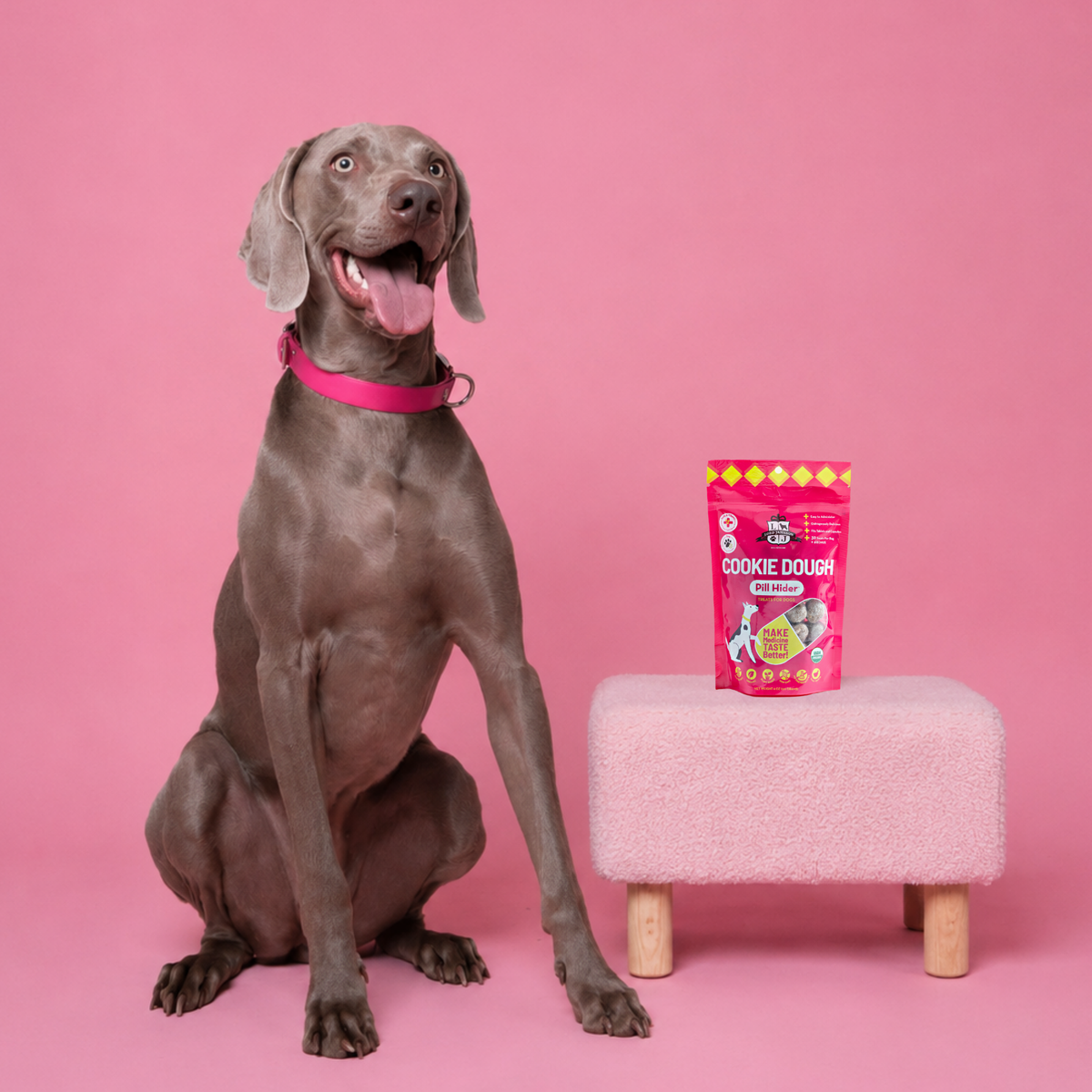 Dog sitting next to a pink stool with a bag of dog treats on a pink background