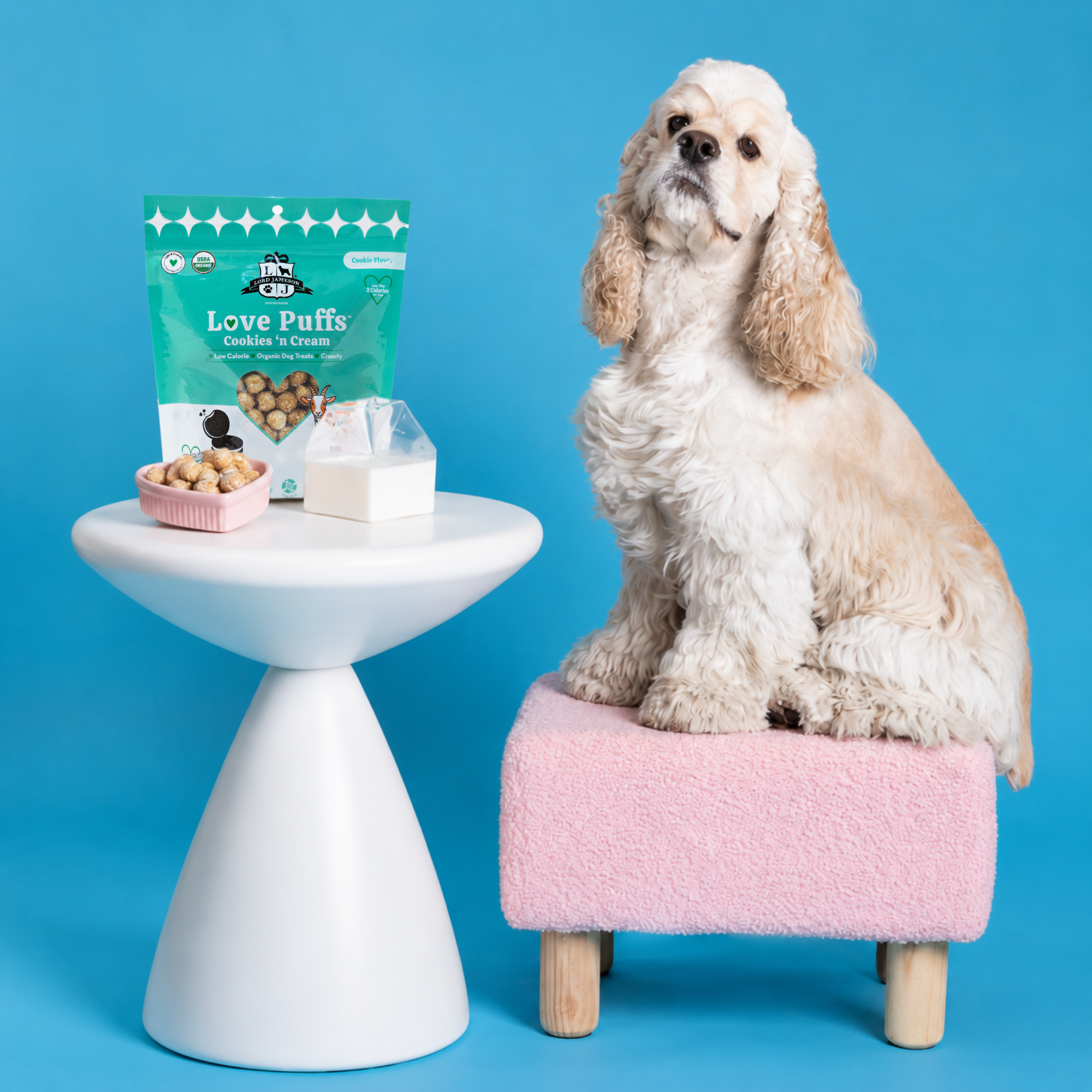 Dog sitting on a pink stool next to a table with pet treats against a blue background
