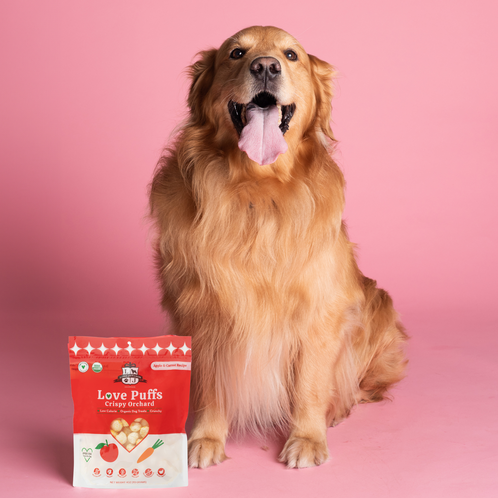 Crispy Orchard Organic Dog Treats - Lord Jameson Organic Dog Treats 