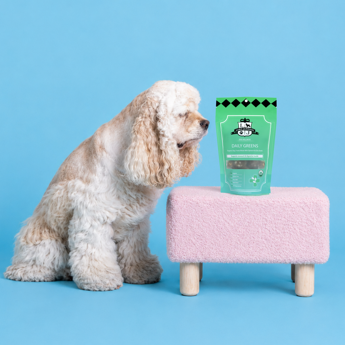 Dog sitting next to a pink stool with a bag of treats on a blue background