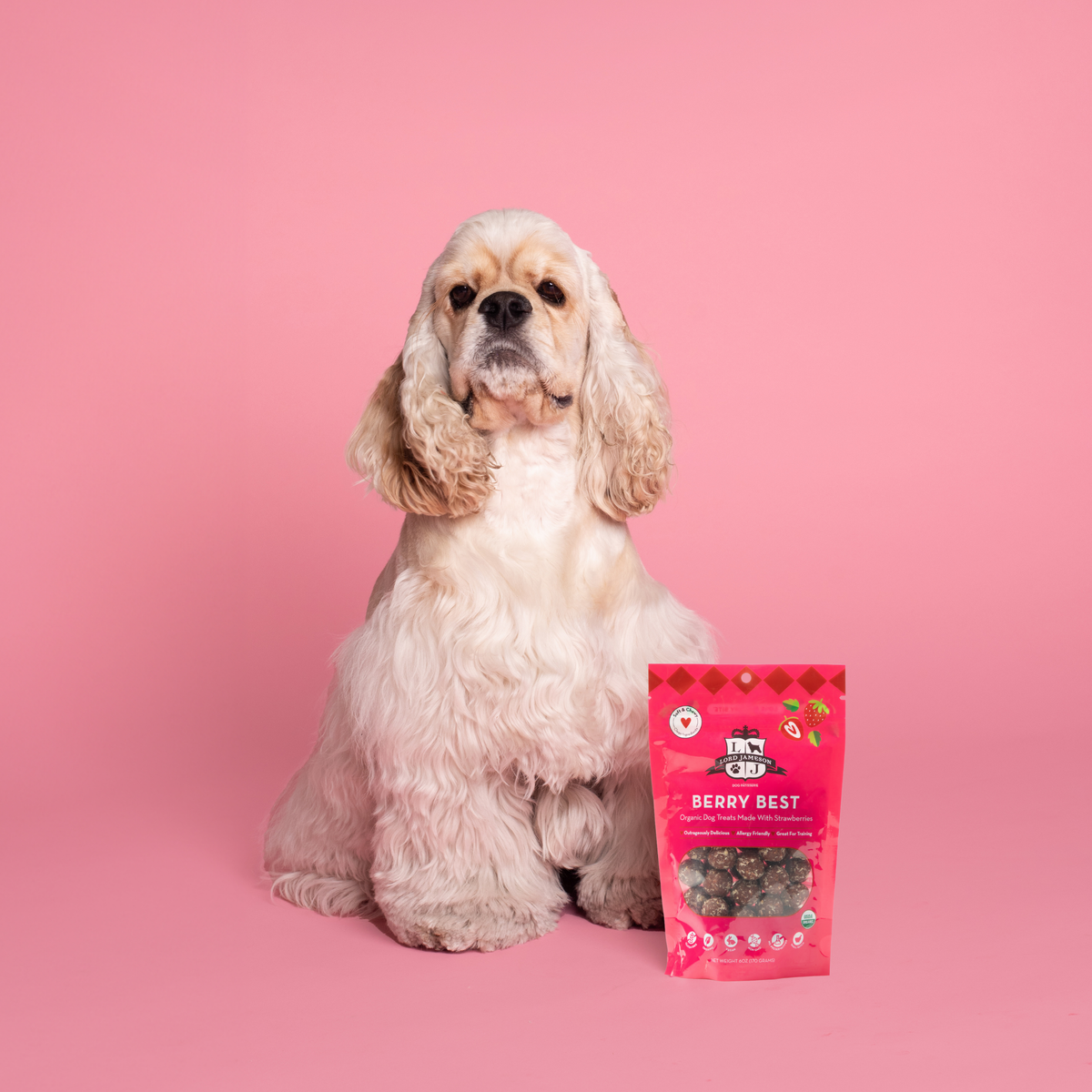 Dog Savory Sweet
