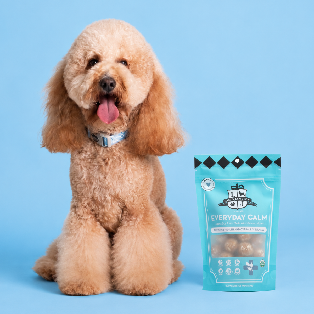 Dog sitting next to a package of 'Everyday Calm' pet supplement on a blue background
