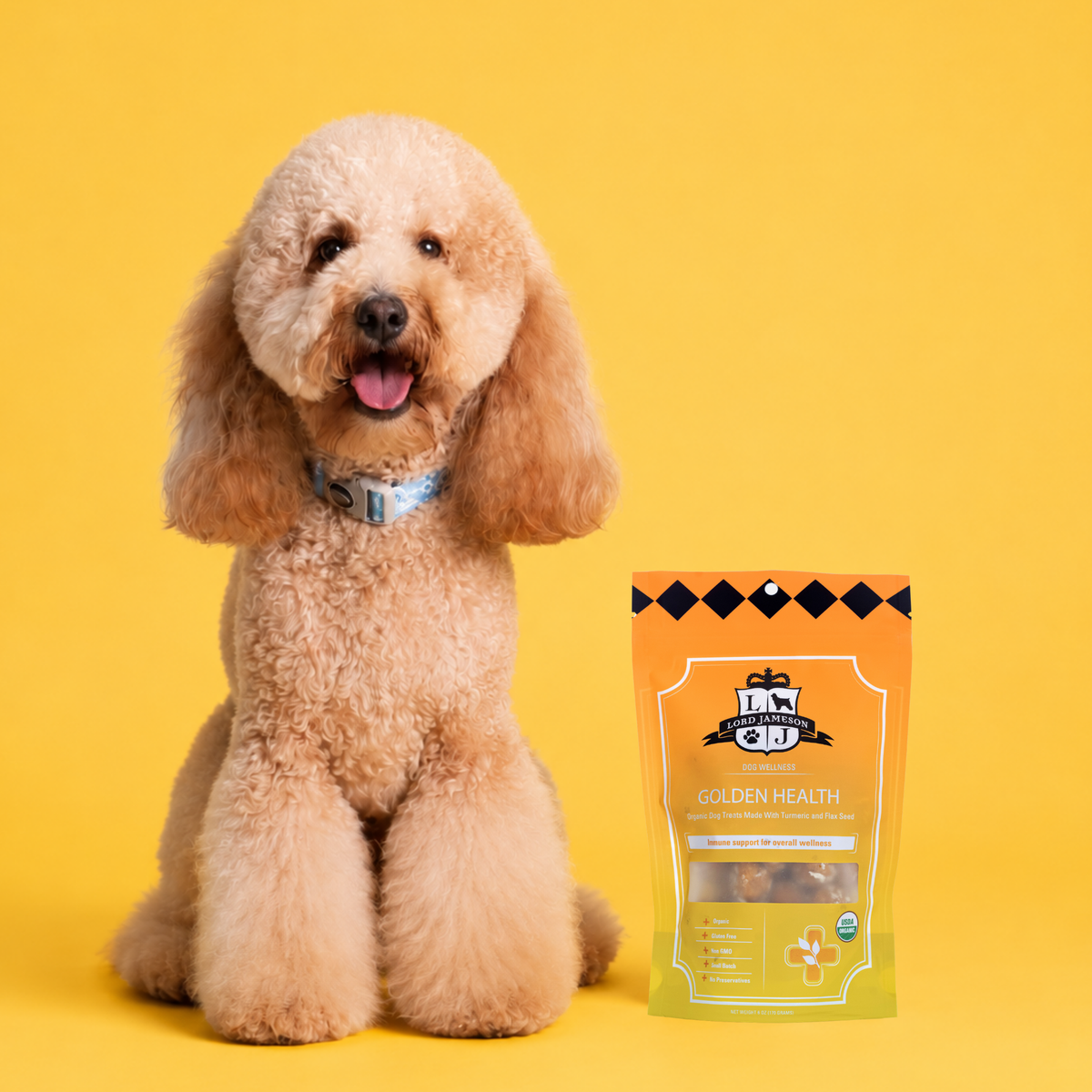 Dog sitting next to a package of dog food on a yellow background