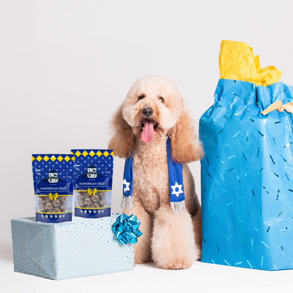 Hanukkah Gelt Organic Dog Treats - Lord Jameson