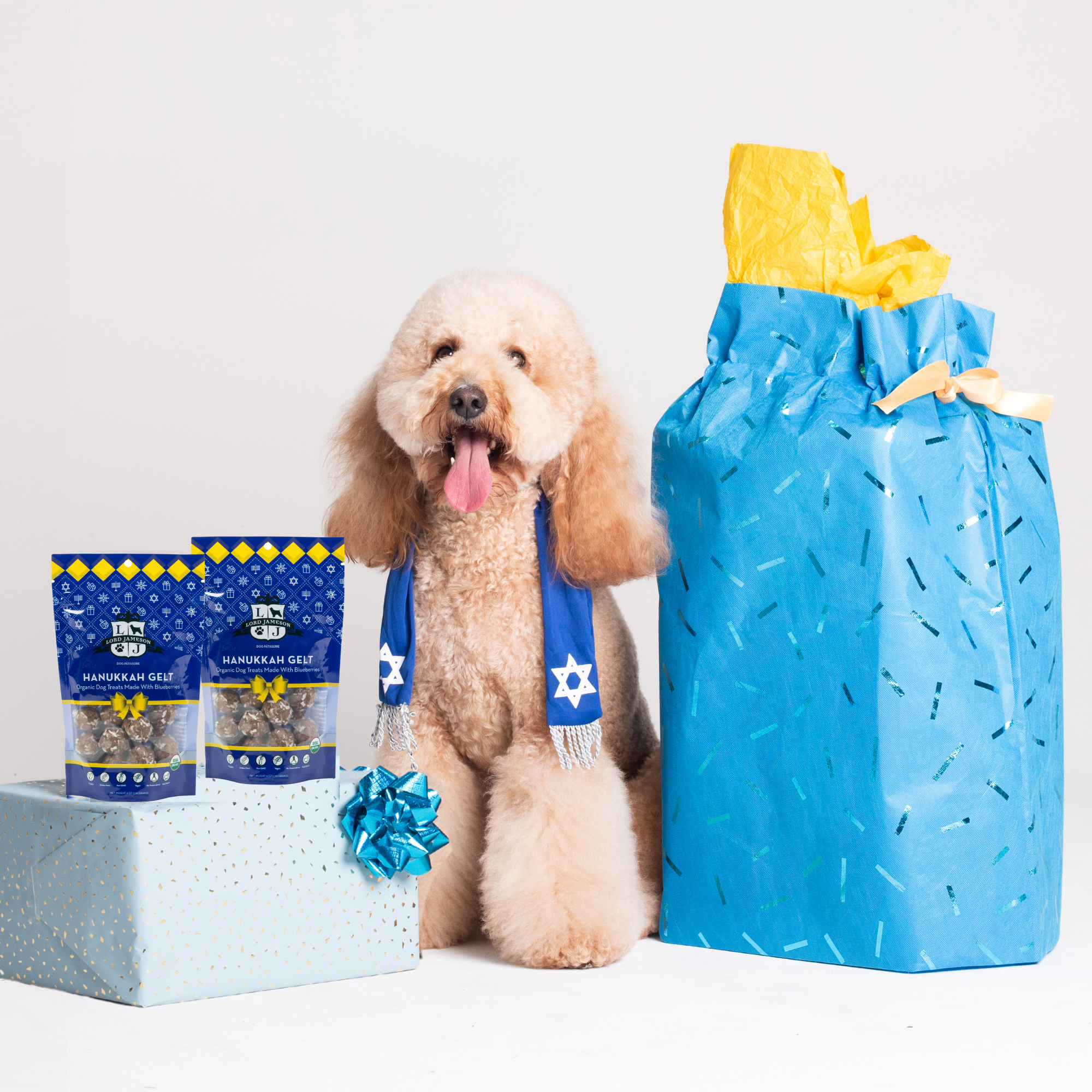 Hanukkah Gelt Organic Dog Treats - Lord Jameson