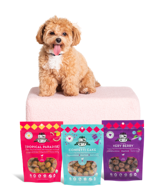 Small Breed Collection Bundle - Lord Jameson Organic Dog Treats 