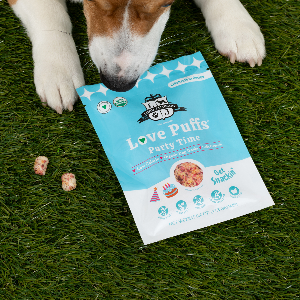 WHOLESALE Party Time Grab-N-Go Snack Pack 12 Ct + Display - Lord Jameson Organic Dog Treats 