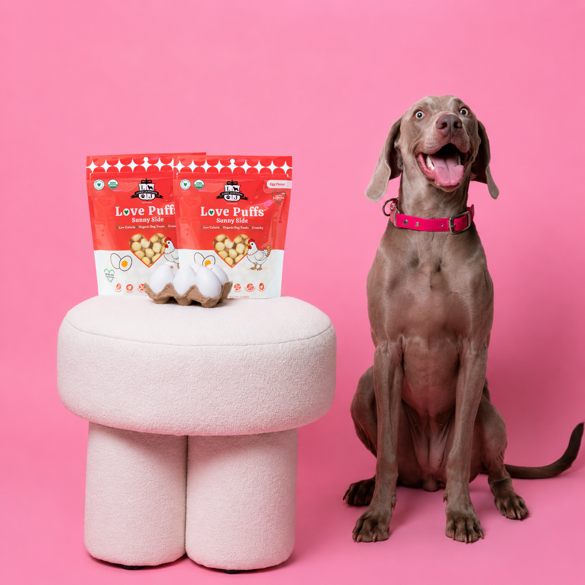 Dog sitting next to a pink stool with Love Puffs packages on a pink background