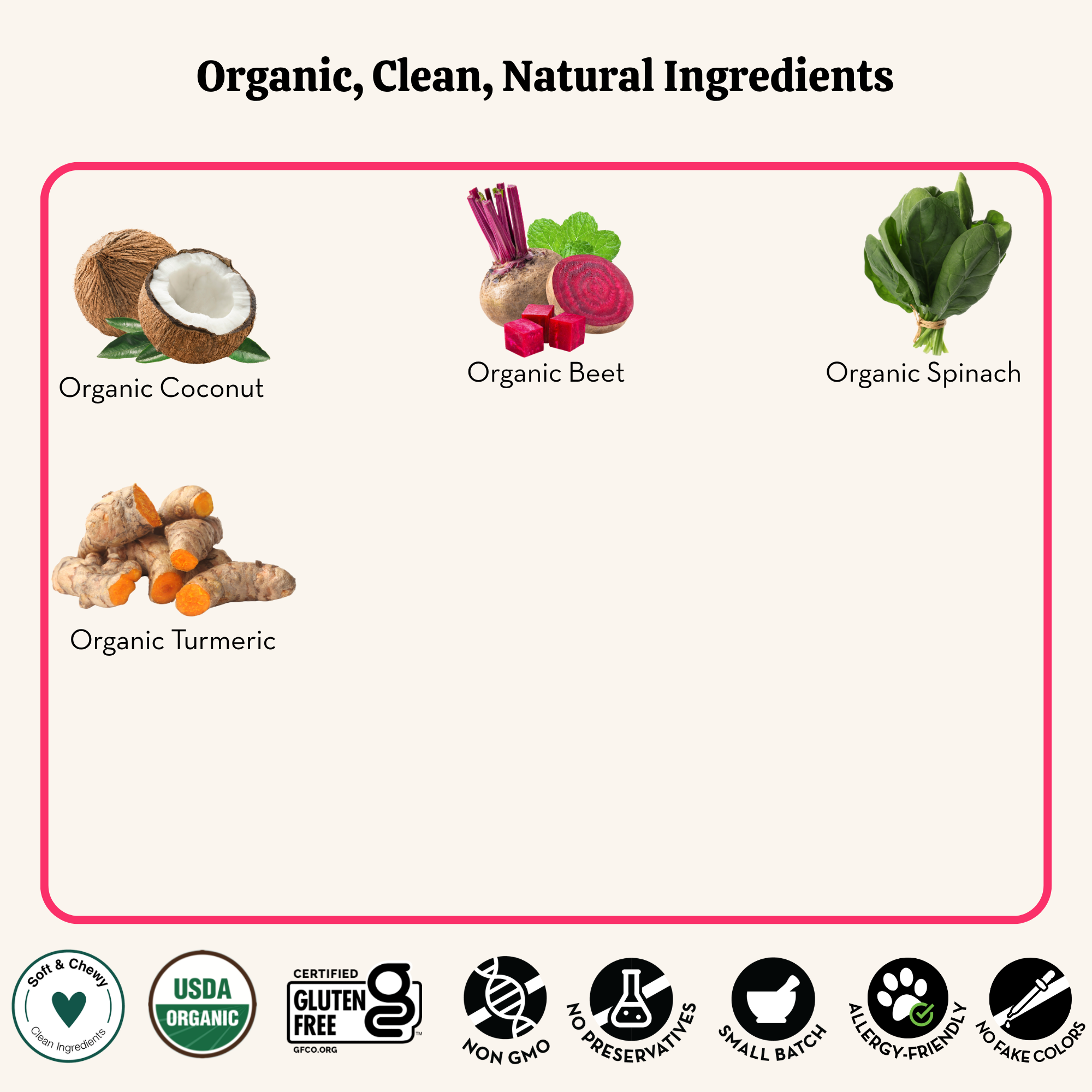 List of organic ingredients including coconut, beet, spinach, and turmeric with corresponding icons below on a white background.