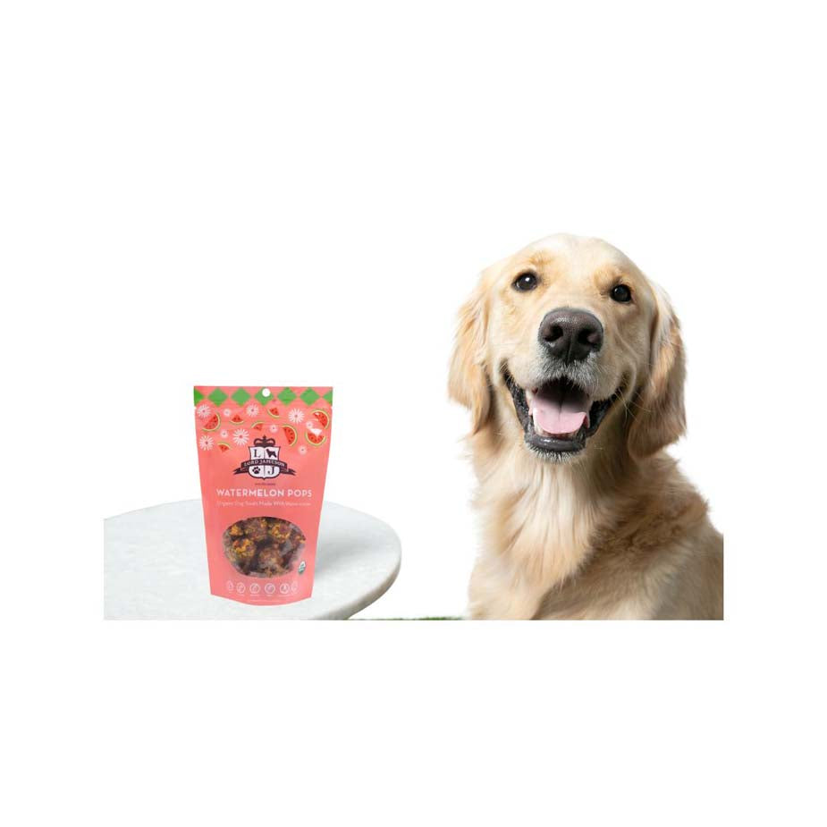 Watermelon Pops Organic Dog Treats