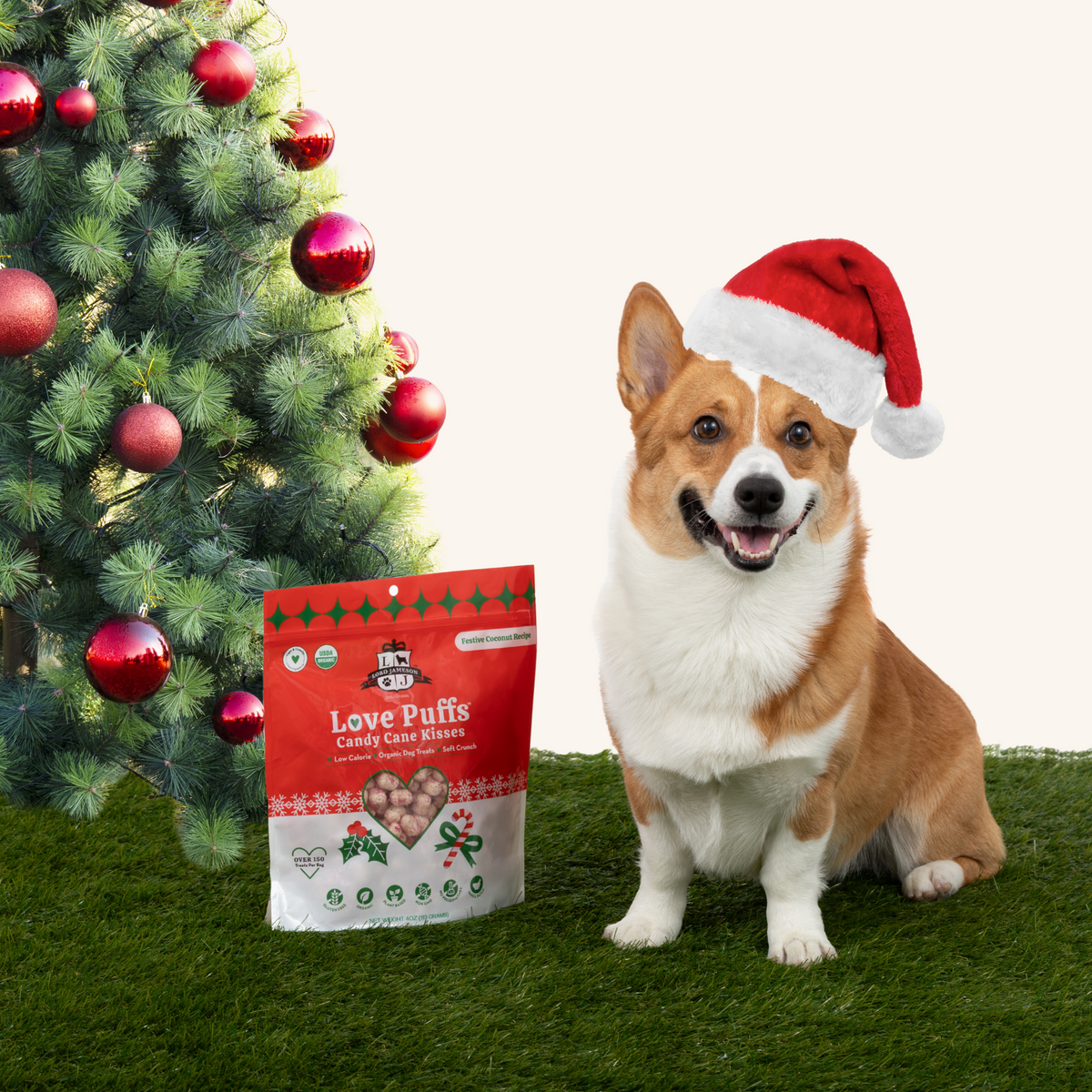 Close up of soft baked organic dog treats by Lord Jameson