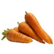 Organic Carrot