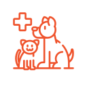 Medication Compliance